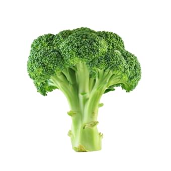ブロッコリー