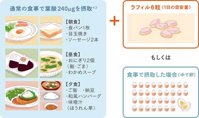 十分な葉酸の摂取