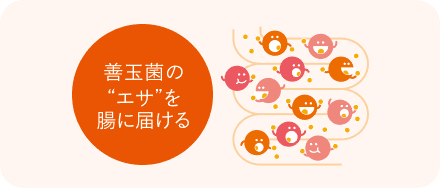 善玉菌の“エサ”を腸に届ける