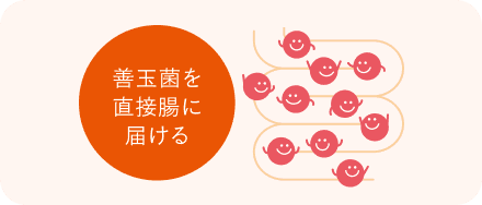 善玉菌を直接腸に届ける